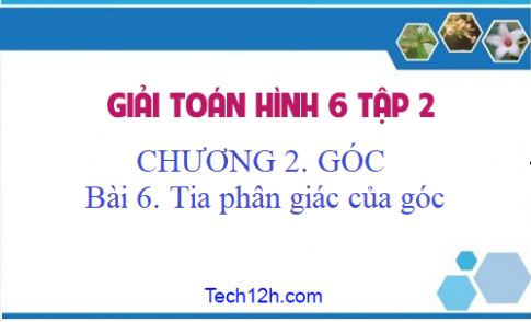 Giải Bài 6: Tia phân giác của góc sgk Toán 6 tập 2 Trang 85 87