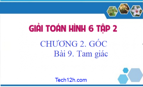 Giải Bài 9: Tam giác sgk Toán 6 tập 2 Trang 93 95