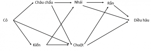 a) Lưới thức ăn ở đồng cỏ trên