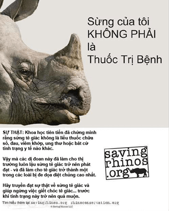 c) Một số khẩu ngữ, tranh, ảnh tuyên truyền về việc bảo vệ loài tê giác: