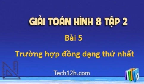 Giải Bài 5: Trường hợp đồng dạng thứ nhất sgk Toán 8 tập 2 Trang 73