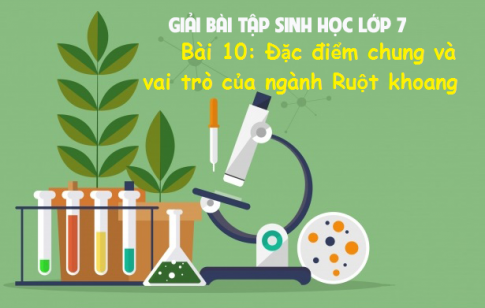 Giải bài 10 sinh 7: Đặc điểm chung và vai trò của ngành Ruột khoang