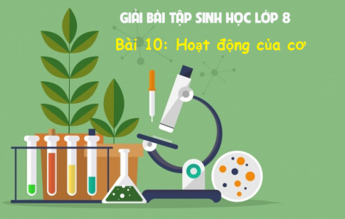 Giải bài 10 sinh 8: Hoạt động của cơ