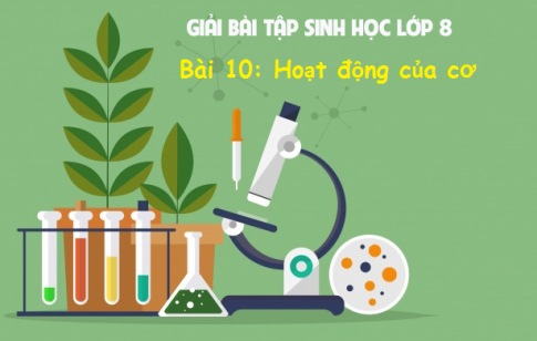 Giải bài 10 sinh 8: Hoạt động của cơ 