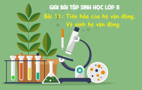 Giải bài 11 sinh 8: Tiến hóa của hệ vận động. Vệ sinh hệ vận động