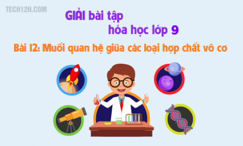 Giải bài 12 hóa học 9: Mối quan hệ giữa các loại hợp chất vô cơ