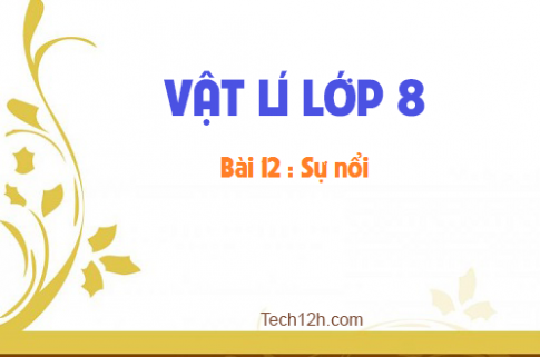 Giải bài 12 vật lí 8: Sự nổi