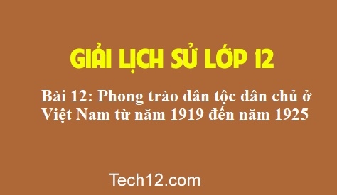 Giải bài 12: Phong trào dân tộc dân chủ ở Việt Nam  từ năm 1919 đến năm 1925