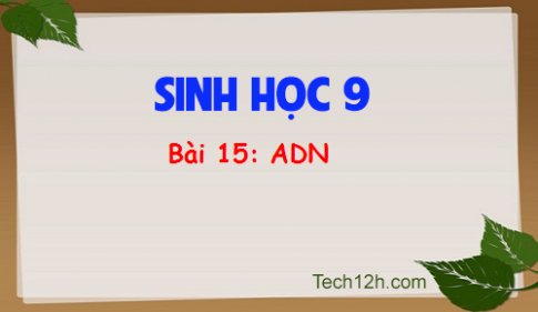 Giải bài 15 sinh 9: ADN