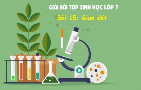 Giải bài 15 sinh 7: Giun đất