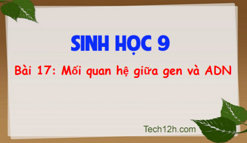 Giải bài 17 sinh 9: Mối quan hệ giữa gen và ARN