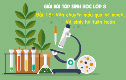 Giải bài 18 sinh 8: Vận chuyển máu qua hệ mạch. Vệ sinh hệ tuần hoàn