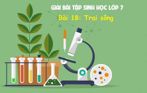 Giải bài 18 sinh 7: Trai sông