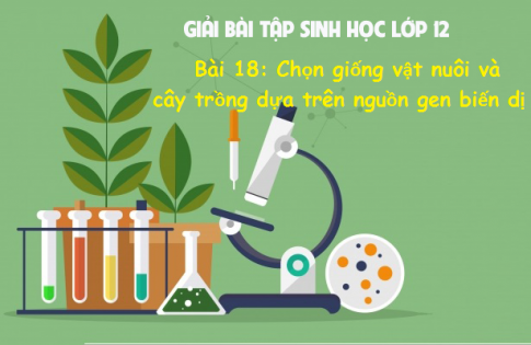 Giải bài 18 sinh 12: Chọn giống vật nuôi và cây trồng dựa trên nguồn biến dị tổ hợp