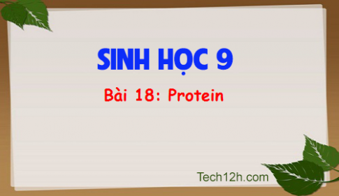 Giải bài 18 sinh 9: Protein