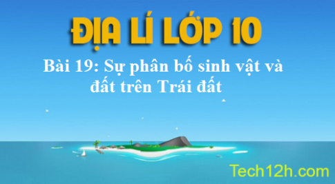 Bài 19: Sự phân bố sinh vật và đất trên Trái đất