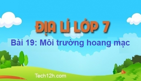 Bài 19: Môi trường hoang mạc