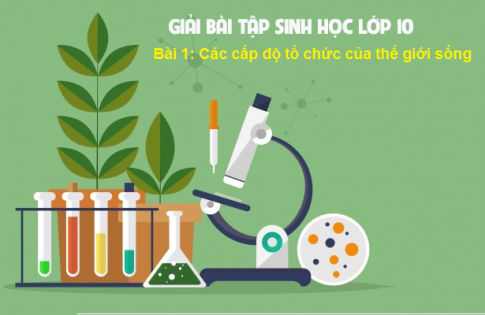 Giải bài 1 sinh 10: Các cấp tổ chức của thế giới sống