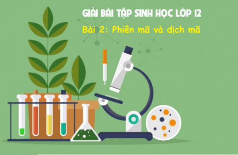 Giải bài 2 sinh 12: Phiên mã và dịch mã