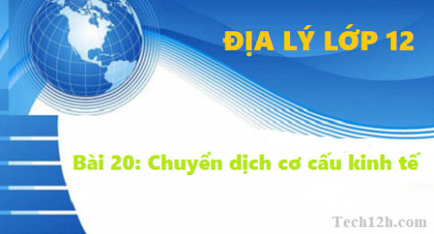 Bài 20: Chuyển dịch cơ cấu kinh tế Địa lí 12 trang 82