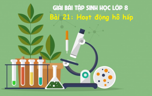 Giải bài 21 sinh 8: Hoạt động hô hấp