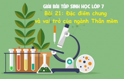 Giải bài 21 sinh 7: Đặc điểm chung và vai trò của ngành Thân mềm Sinh học 7 trang 71