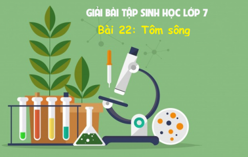 Giải bài 22 sinh 7: Tôm sông