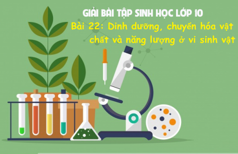 Giải bài 22 sinh 10: Dinh dưỡng, chuyển hóa vật chất và năng lượng ở vi sinh vật