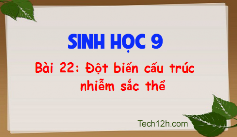 Giải bài 22 sinh 9: Đột biến cấu trúc nhiễm sắc thể