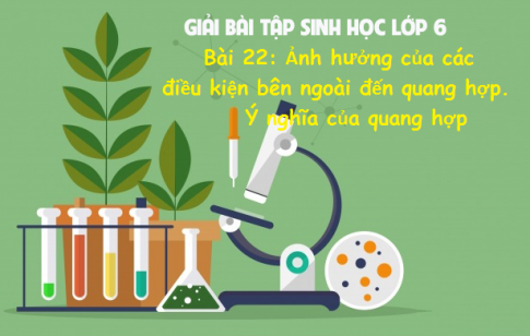 Giải bài 22 sinh 6: Ảnh hưởng của các điều kiện bên ngoài đến quang hợp. Ý nghĩa của quang hợp sgk Sinh học 6 trang 75