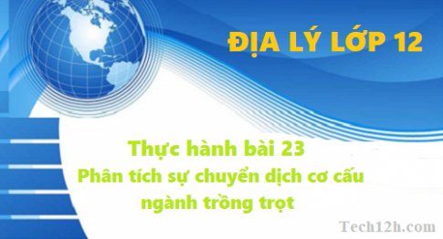 Thực hành bài 23: Phân tích sự chuyển dịch cơ cấu ngành trồng trọt Địa lí 12 trang 98