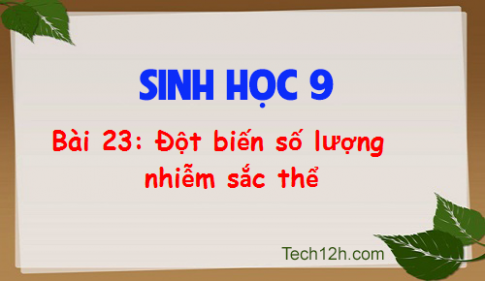 Giải bài 23 sinh 9: Đột biến số lượng NST