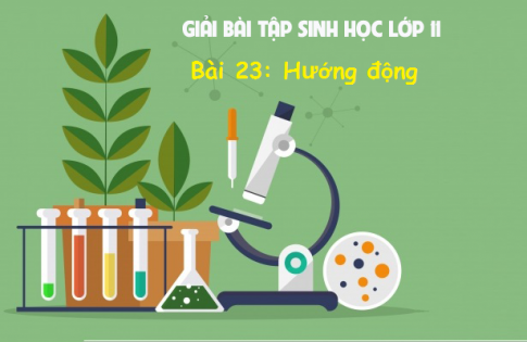 Giải Bài 23 sinh 11: Hướng động sgk trang 97