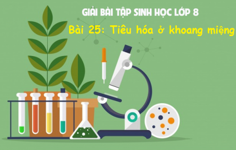 Giải bài 25 sinh 8: Tiêu hóa ở khoang miệng