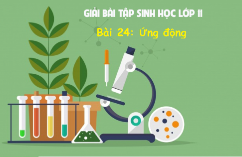 Giải Bài 24: Ứng động Sinh học 11 trang 102 