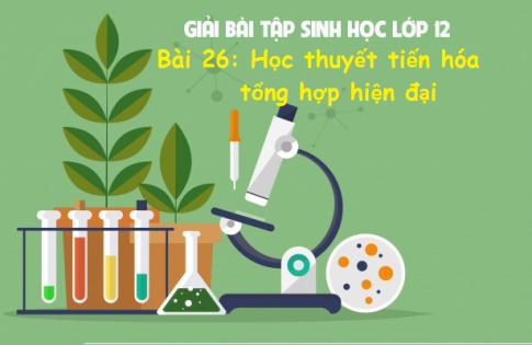 Giải bài 26 sinh 12: Học thuyết tiến hóa tổng hợp hiện đại