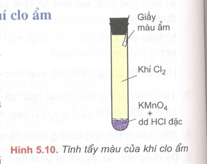 Giải bài 27: Bài thực hành số 2: Tính chất hóa học của khí clo và hợp chất của clo