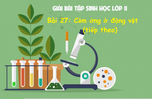 Giải Bài 27 sinh 11: Cảm ứng ở động vật (tiếp theo)