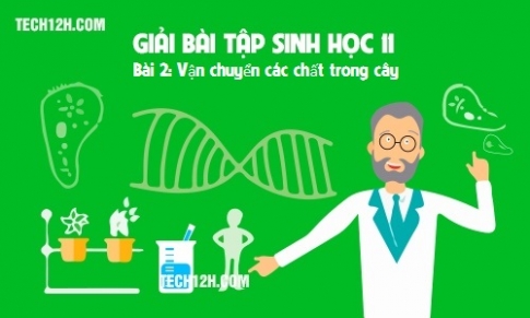 Bài 2 sinh 11: Vận chuyển các chất trong cây 