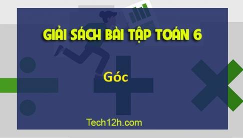 SBT toán 6 tập 2 bài 2: Góc Trang 82