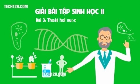 Bài 3 sinh 11: Thoát hơi nước 