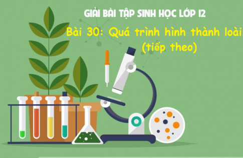 Giải bài 30 sinh 12: Quá trình hình thành loài (tiếp theo)