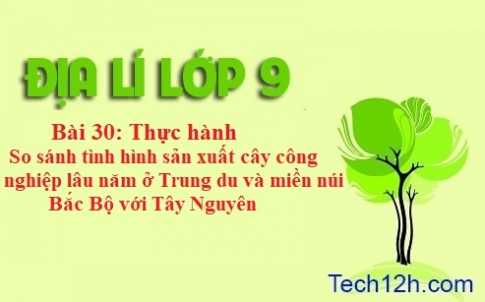 Bài 30: Thực hành so sánh tình hình sản xuất cây công nghiệp lâu năm ở trung du và miền núi Bắc Bộ với Tây Nguyên