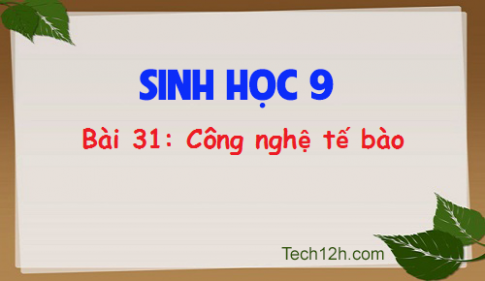 Giải bài 31 sinh 9: Công nghệ tế bào