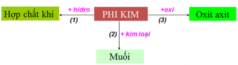 Giải bài 32: Luyện tập chương 3: Phi kim - Sơ lược về bảng tuần hoàn các nguyên tố đã học - SGK hóa học 9 trang 102