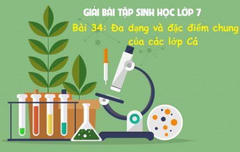 Giải bài 34 sinh 7: Đa dạng và đặc điểm chung của các lớp Cá