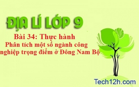 Bài 34: Thực hành phân tích một số ngành công nghiệp trọng điểm Đông Nam Bộ