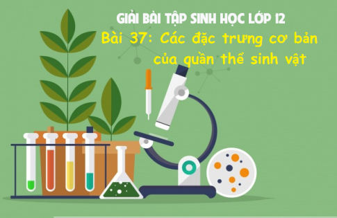 Giải bài 37 sinh 12: Các đặc trưng cơ bản của quần thể sinh vật