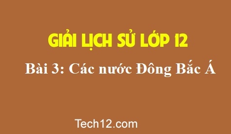 Bài 3: Các nước Đông Bắc Á (Trang 19 – 25 SGK)