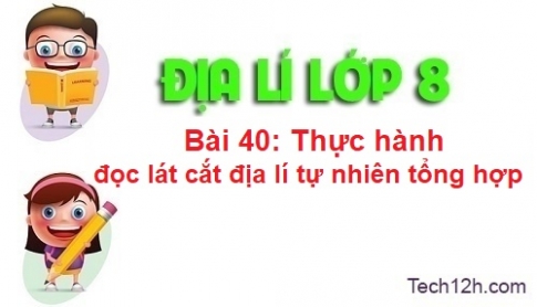 Bài 40: Thực hành đọc lát cắt địa lí tự nhiên tổng hợp